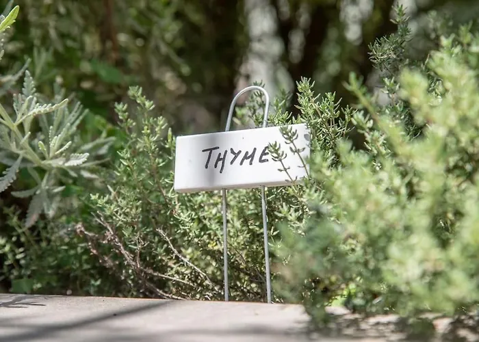 Вилла Theolia Гоувия