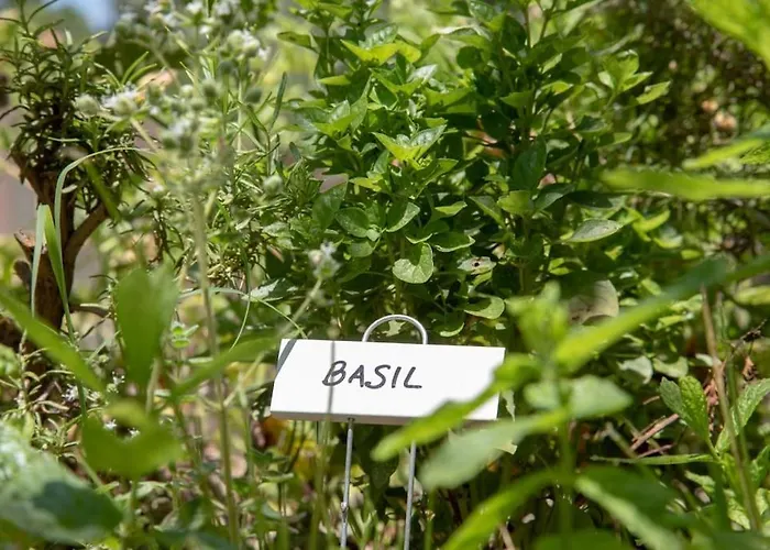 Вилла Theolia *